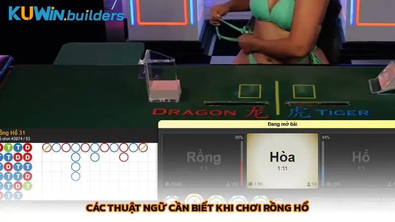 Các thuật ngữ cần biết khi chơi Rồng Hổ