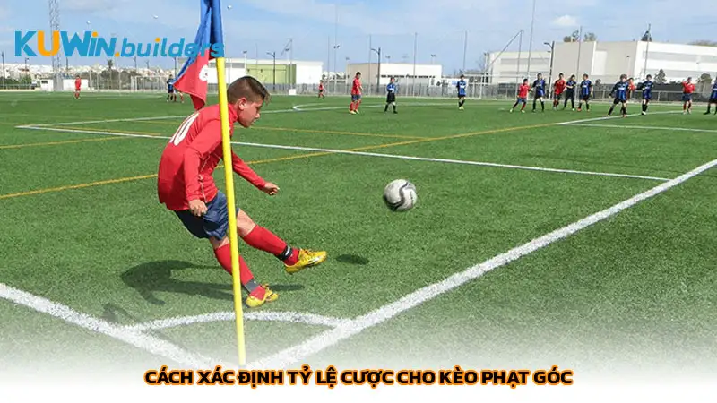Cách xác định tỷ lệ cược cho kèo phạt góc